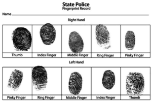 Fingerprints in police report